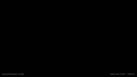 24533